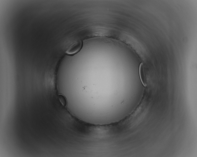 X0000102810305200808251115