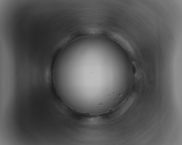 X0000102810306200808251115