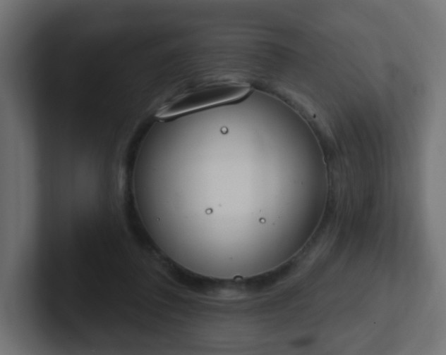 X0000102810308200808251115