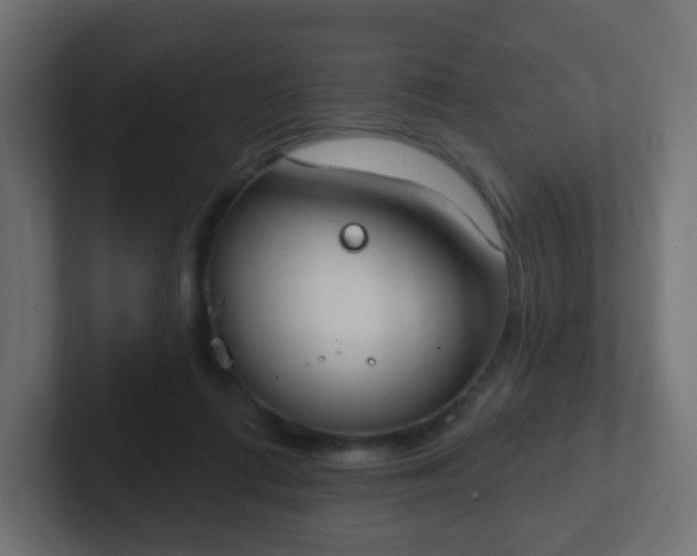 X0000102810312200808251115