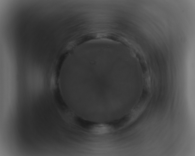 X0000102810316200808251115