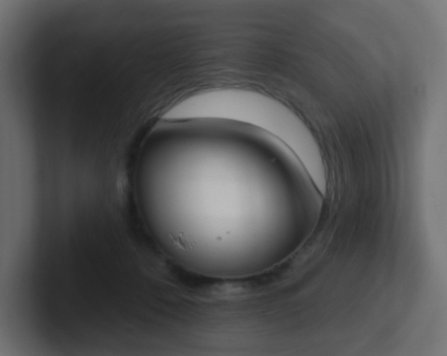 X0000102810320200808251115