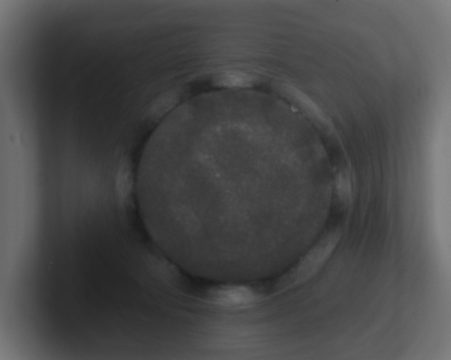 X0000102810322200808251114