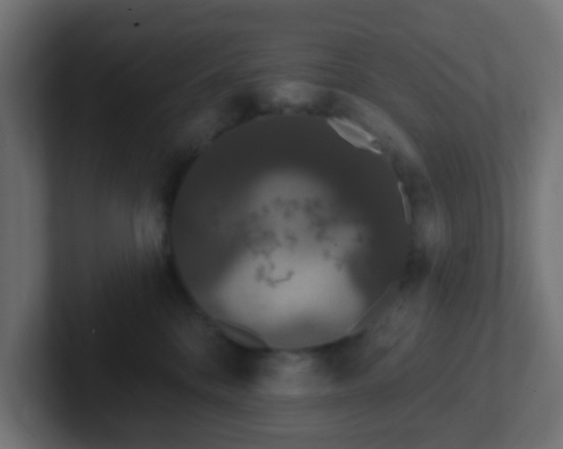 X0000102810328200808251114