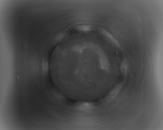 X0000102810330200808251114