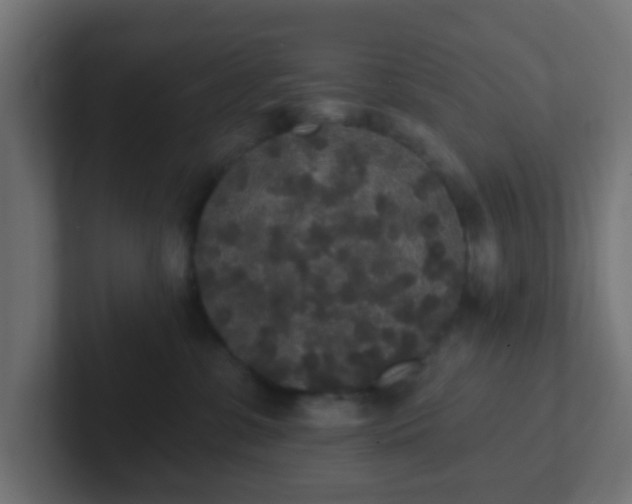 X0000102810331200808251114