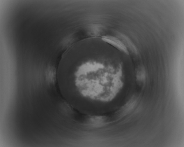 X0000102810332200808251114