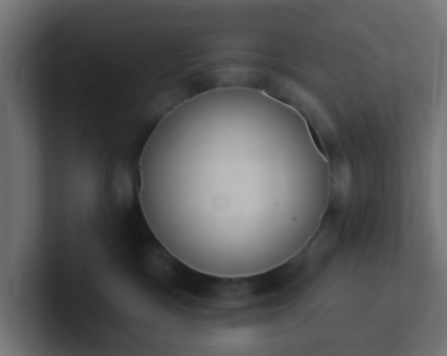 X0000102810333200808251114