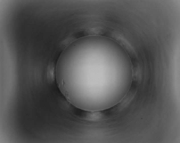 X0000102810334200808251114