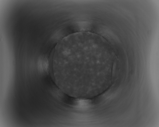 X0000102810336200808251114