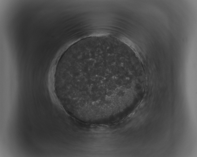 X0000102810337200808251114