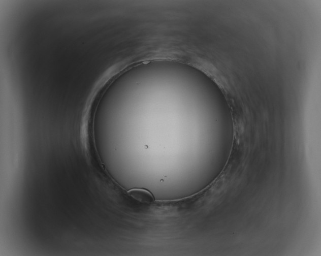 X0000102810340200808251114