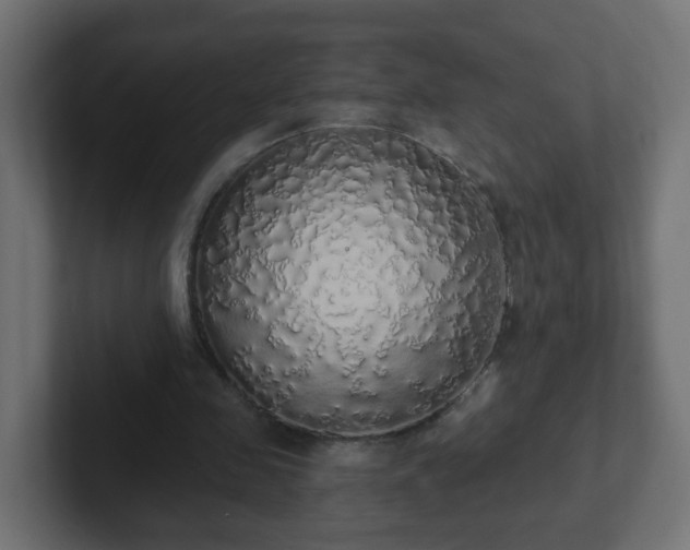 X0000102810341200808251114