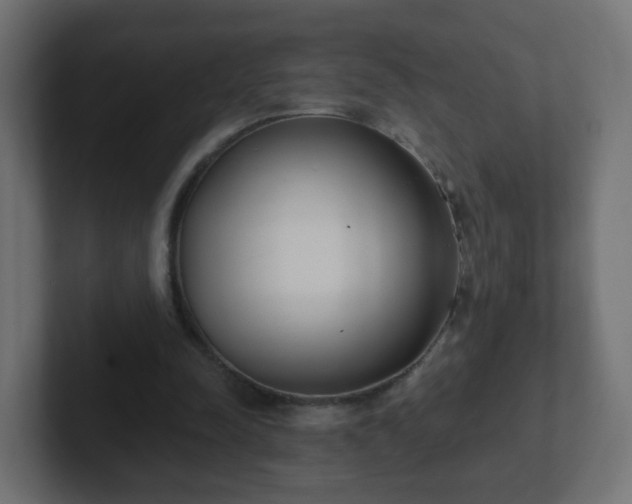 X0000102810342200808251114