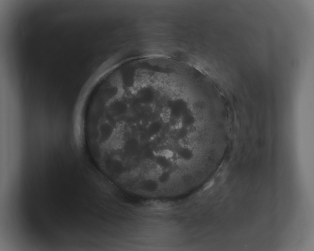 X0000102810343200808251114