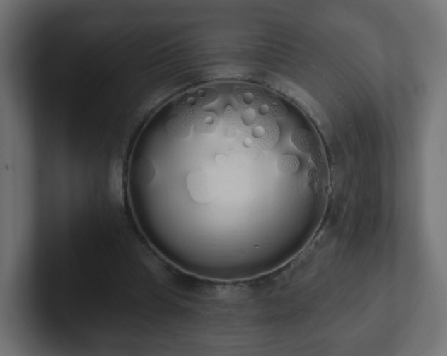 X0000102810345200808251114