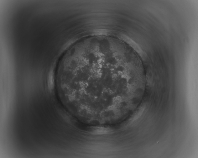 X0000102810347200808251114