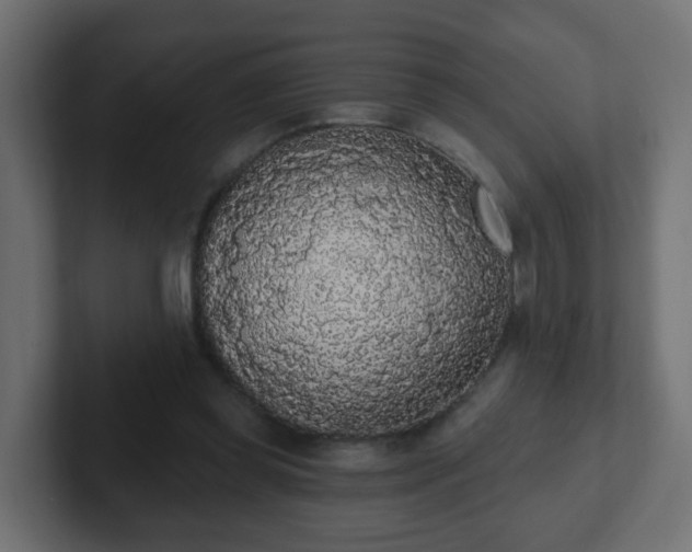 X0000102810349200808251114