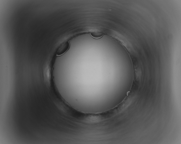 X0000102810350200808251114