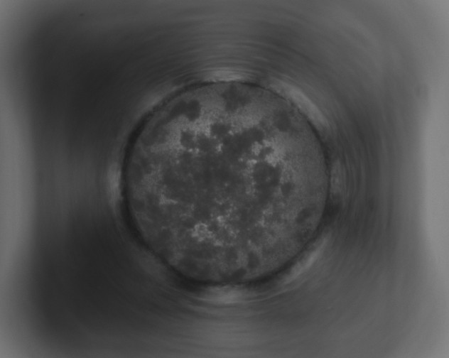 X0000102810351200808251114