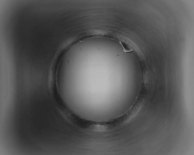 X0000102810352200808251114