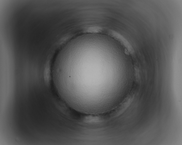 X0000102810354200808251114