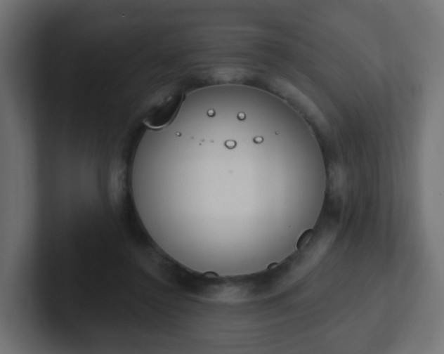 X0000102810356200808251114