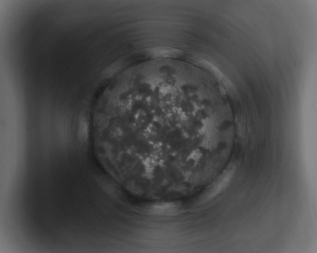 X0000102810357200808251114