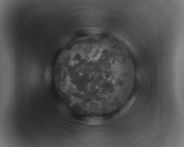 X0000102810359200808251114