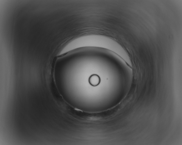 X0000102810360200808251114