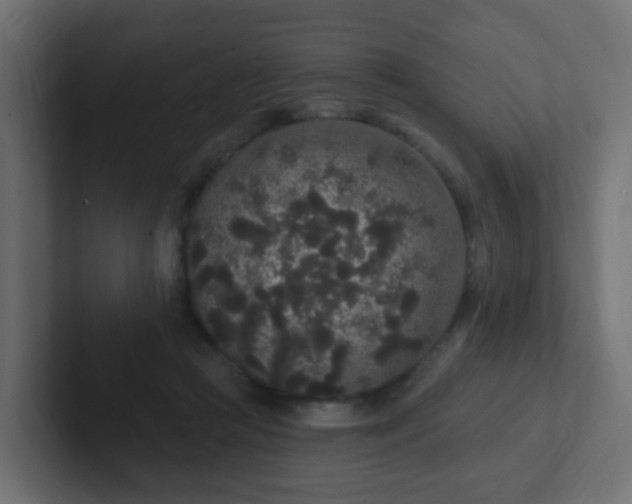 X0000102810361200808251114