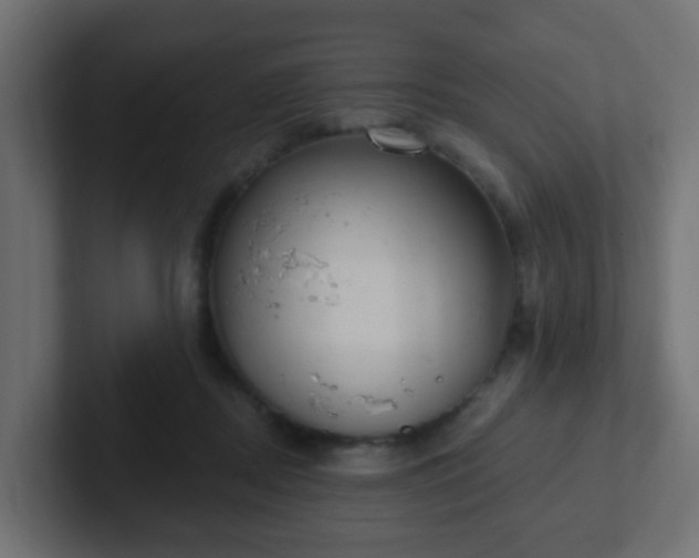 X0000102810362200808251114