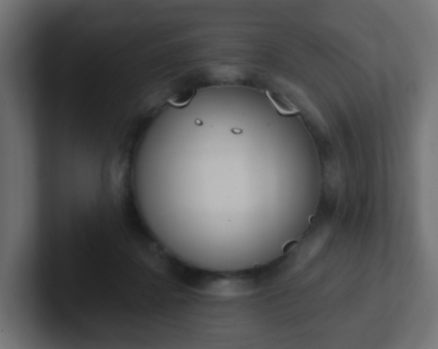 X0000102810364200808251114