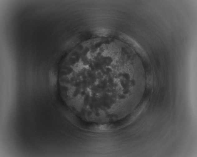 X0000102810365200808251114