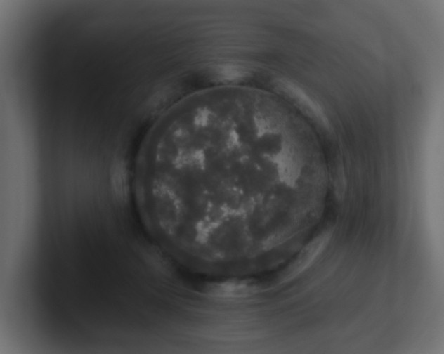 X0000102810366200808251114