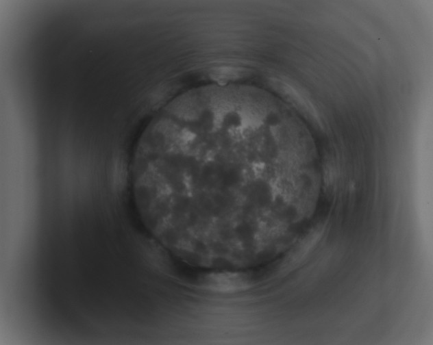 X0000102810367200808251114