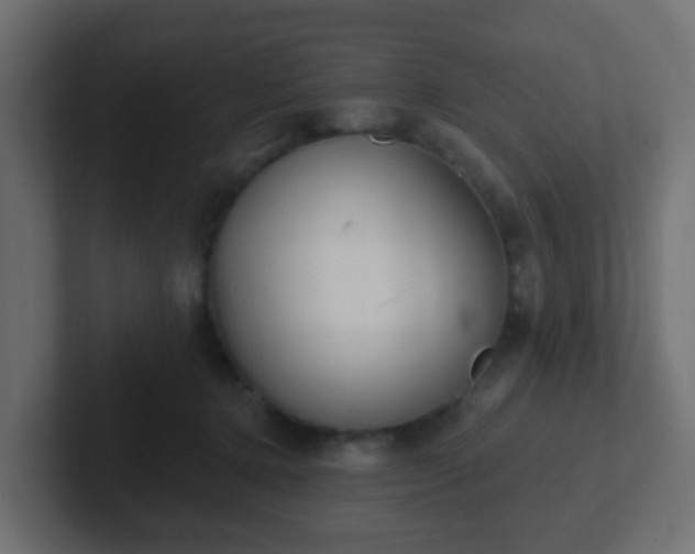 X0000102810368200808251114