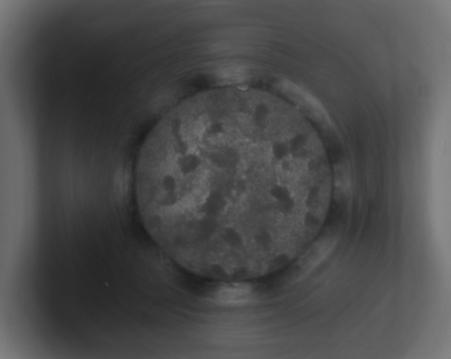 X0000102810369200808251114