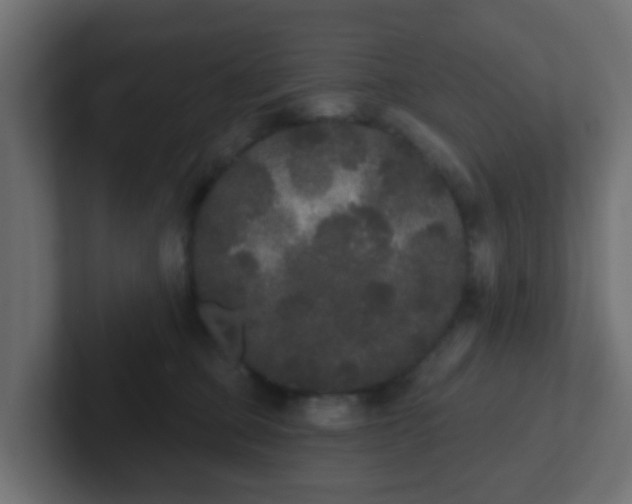 X0000102810373200808251114