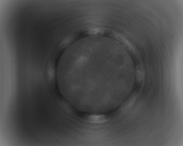 X0000102810375200808251114