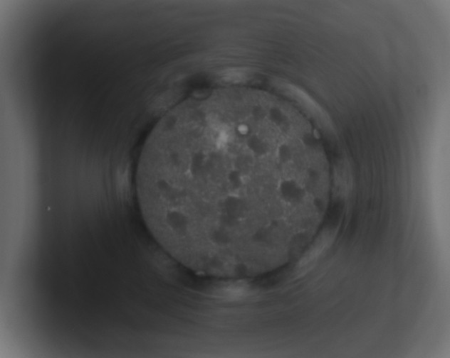 X0000102810377200808251114