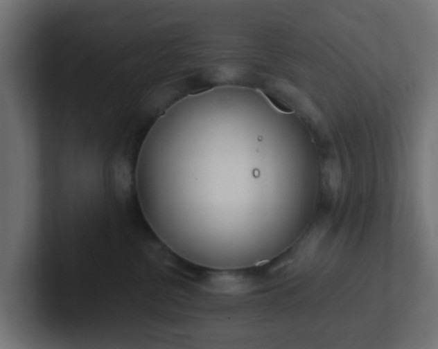 X0000102810380200808251114