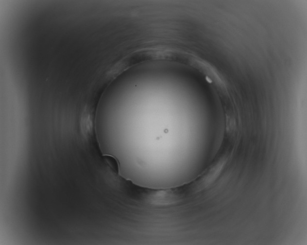 X0000102810382200808251114