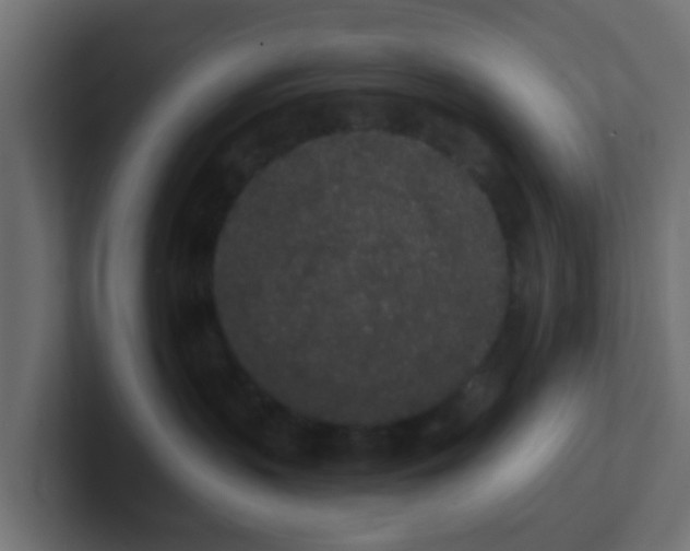 X0000102810383200808251114