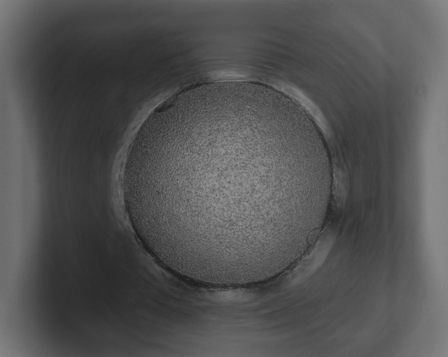 X0000102810385200808251114