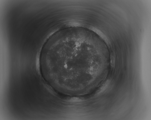 X0000102810390200808251114