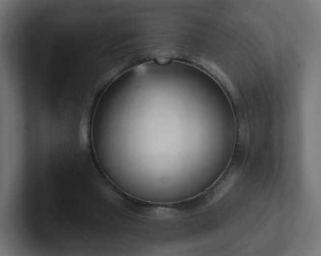 X0000102810393200808251114