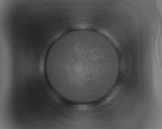 X0000102810394200808251114