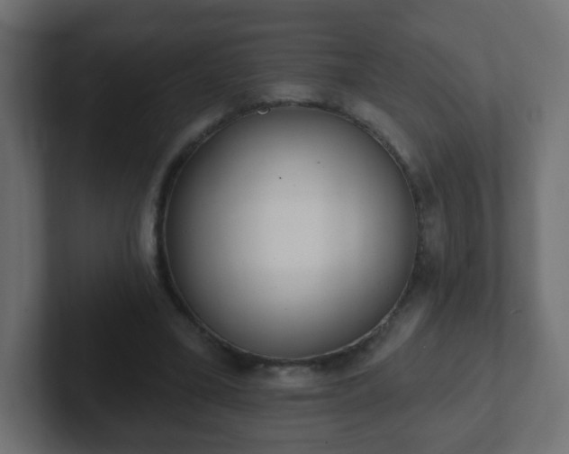 X0000102810395200808251114