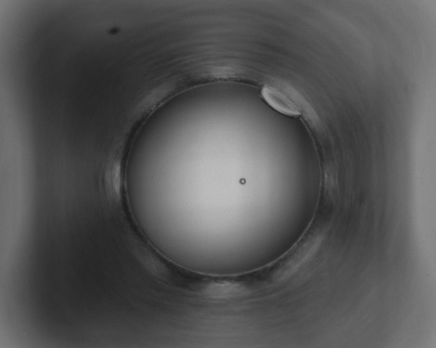 X0000102810397200808251114